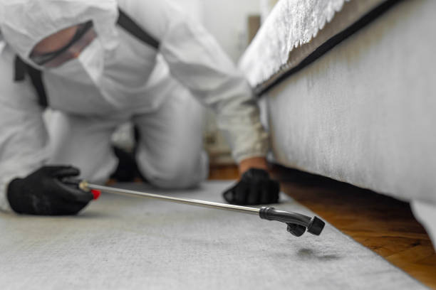 Professional Termite Control technician working in Montgomery, OH