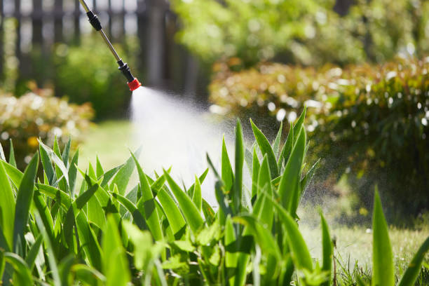 24/7 Emergency Termite Control experts in Montgomery, OH
