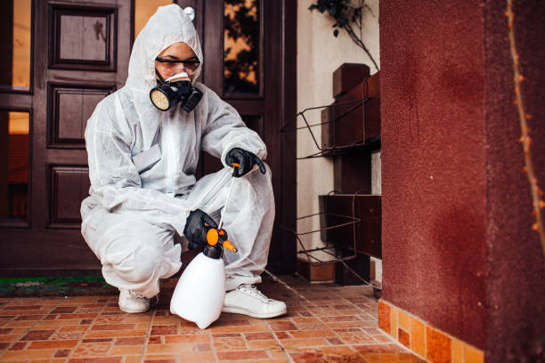 Reliable Termite Control contractor in Montgomery, OH by Nex Pest Control