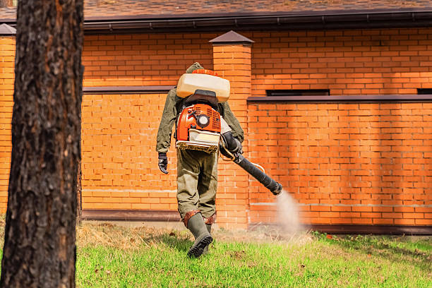 Top rated local Termite Control specialists in Montgomery, OH